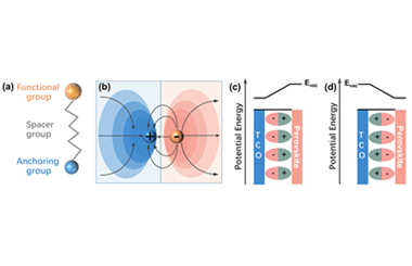 Is dipole the only thing that matters for inverted perovskite solar cells? 2024.100324